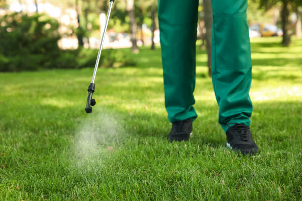Professional Pest Control in Arlington, TN