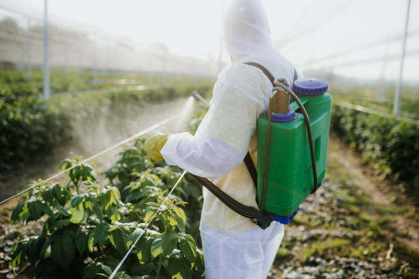 Best Pest Removal Services  in Arlington, TN